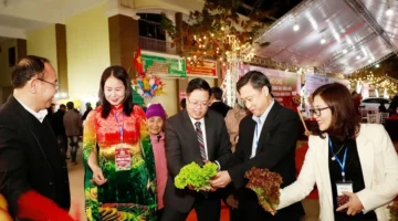 تسهيلات تجارية جديدة.. خطة وضع حوافز إضافية لتنشيط حركة التجارة الحدودية